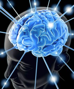 极简视频分析：只保留最重要的